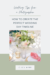 How To Create The Perfect Wedding Timeline Sydney Kane Photography