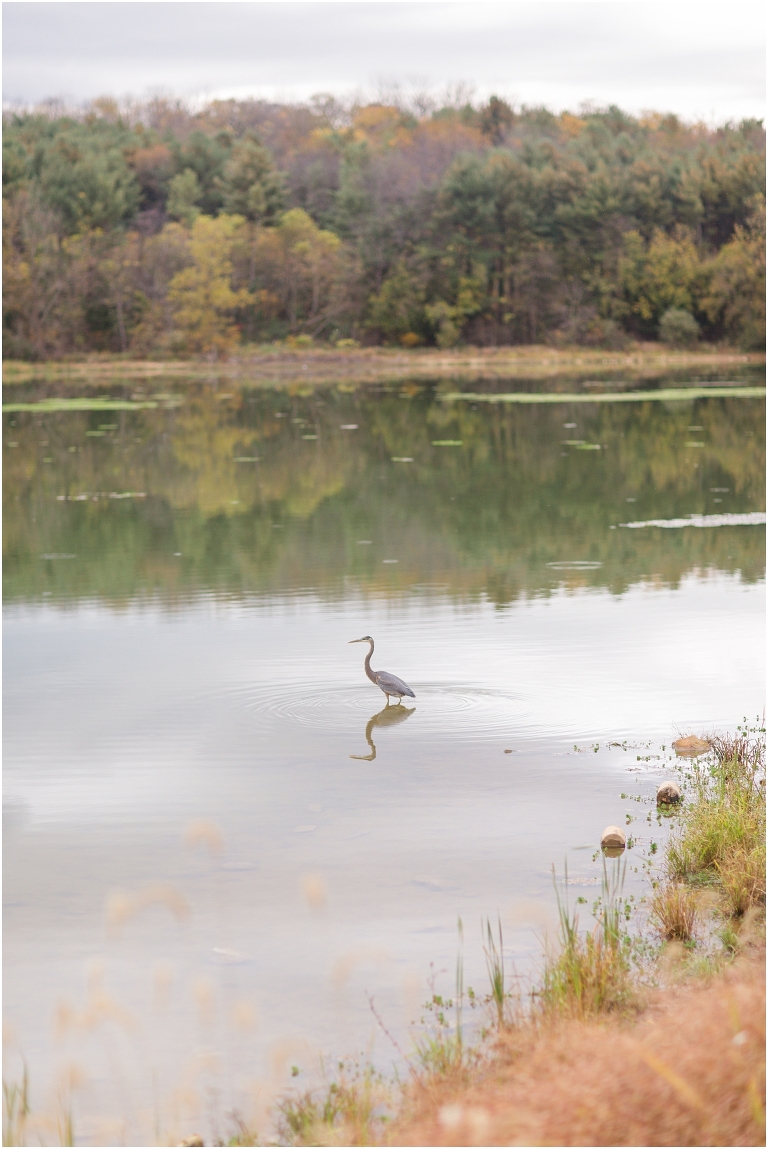 Autumn engagement session at Lake Shenandoah with fall colors.
