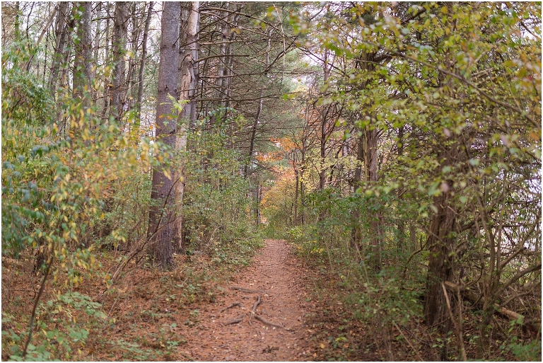Autumn engagement session at Lake Shenandoah with fall colors.