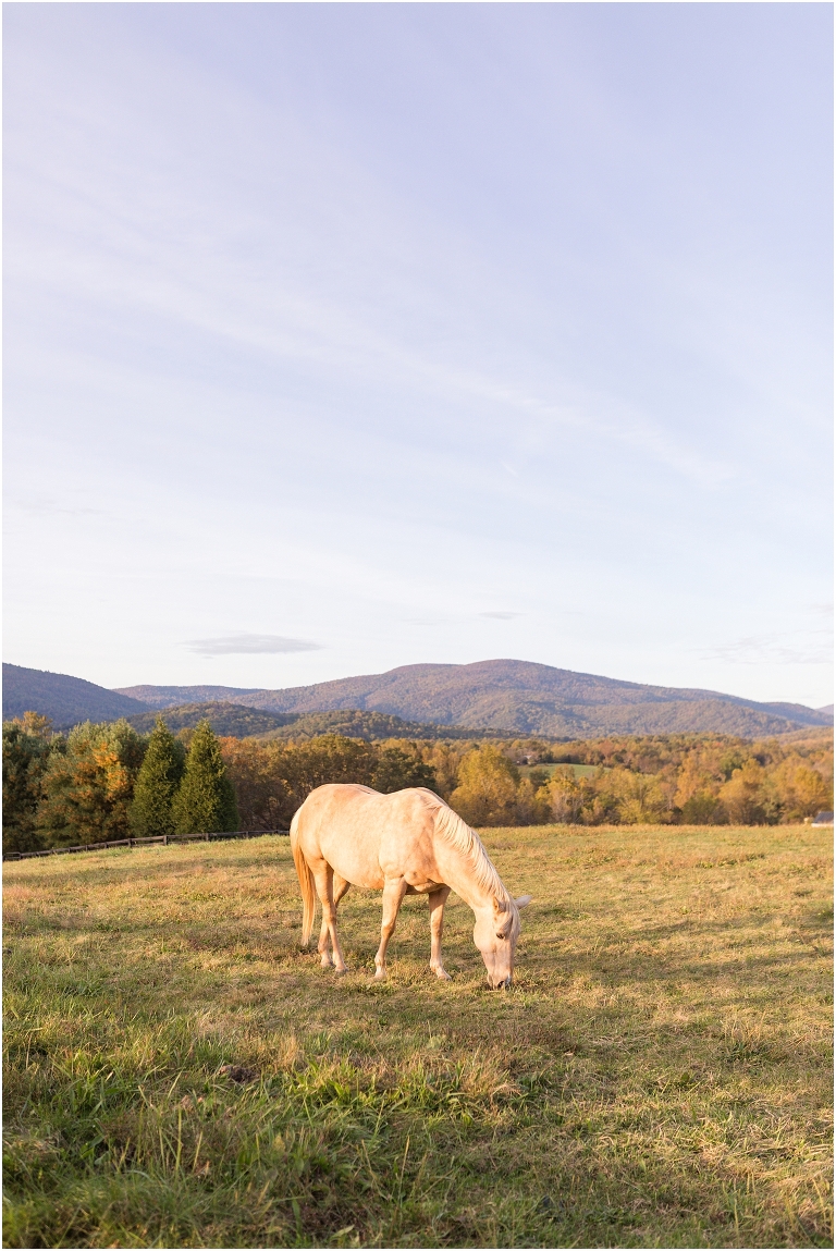 Virginia vow renewal and anniversary session in the autumn mountains with horses