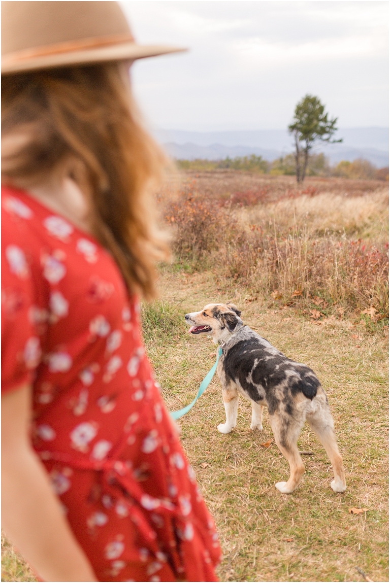Fall sunset Big Meadows Skyline Drive senior session
