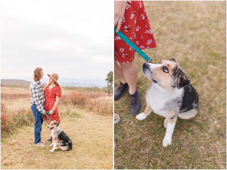 Fall sunset Big Meadows Skyline Drive senior session