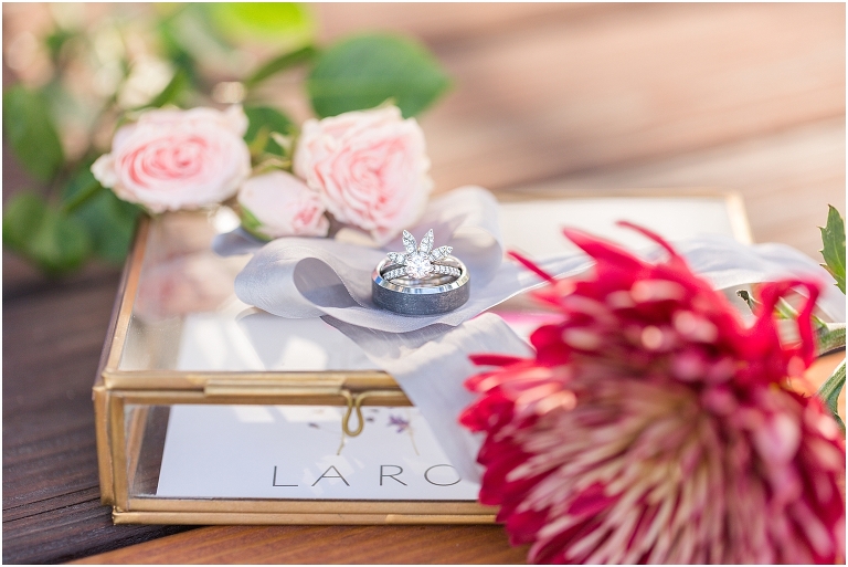 Virginia Wedding and Engagement Photographer Best of 2020 Weddings and Engagements Sydney Kane Photography Montfair Resort Farm Vow Renewal