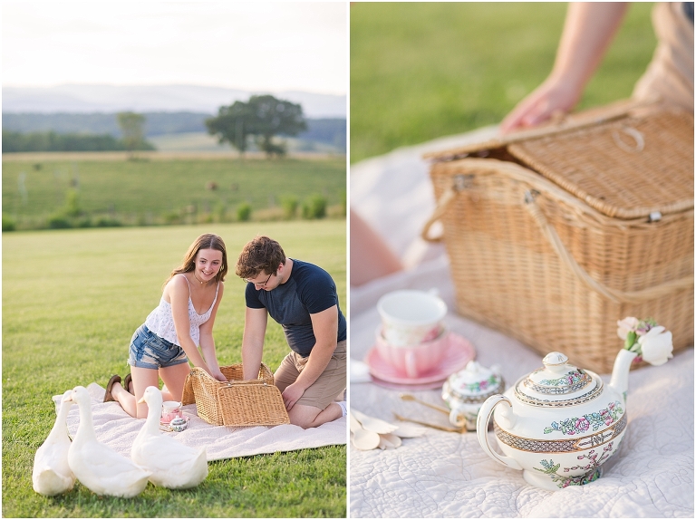 Virginia Wedding and Engagement Photographer Best of 2020 Weddings and Engagements Sydney Kane Photography Mountain View Event Farm Sunset Picnic Engagement Session