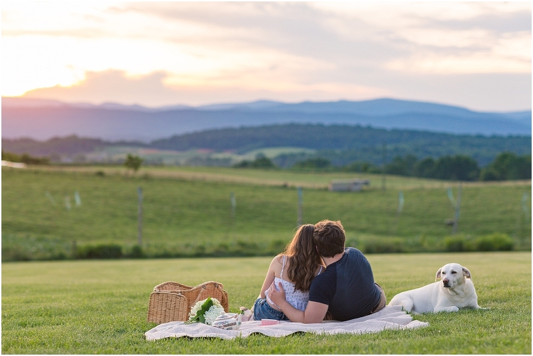 Virginia Wedding and Engagement Photographer Best of 2020 Weddings and Engagements Sydney Kane Photography Mountain View Event Farm Sunset Picnic Engagement Session