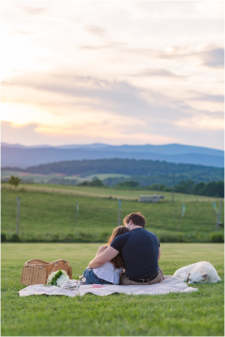 Virginia Wedding and Engagement Photographer Best of 2020 Weddings and Engagements Sydney Kane Photography Mountain View Event Farm Sunset Picnic Engagement Session
