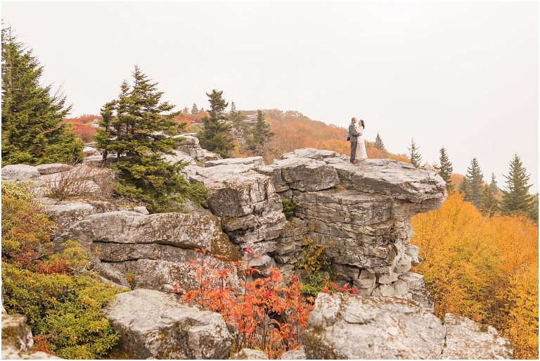 Virginia Wedding and Engagement Photographer Best of 2020 Weddings and Engagements Sydney Kane Photography Dolly Sods Vow Renewal
