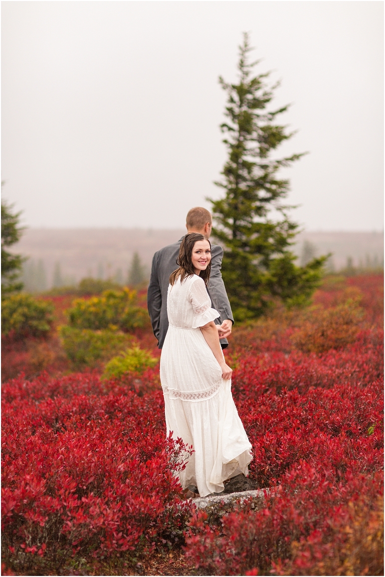 Virginia Wedding and Engagement Photographer Best of 2020 Weddings and Engagements Sydney Kane Photography Dolly Sods Vow Renewal