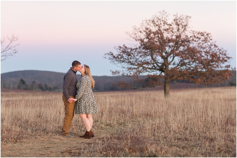 Virginia Wedding and Engagement Photographer Best of 2020 Weddings and Engagements Sydney Kane Photography Big Meadows Engagement Session Skyline Drive