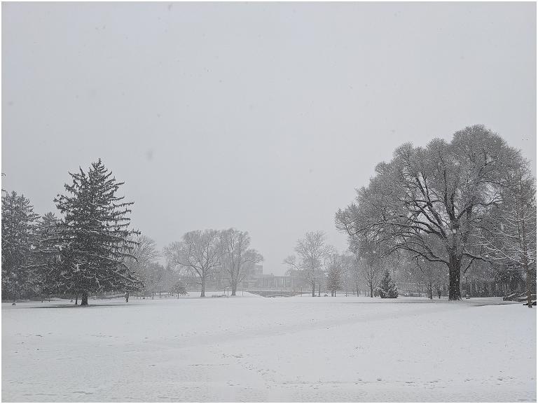 When should you take your JMU graduation portraits? The James Madison University Quad can be snowy in January