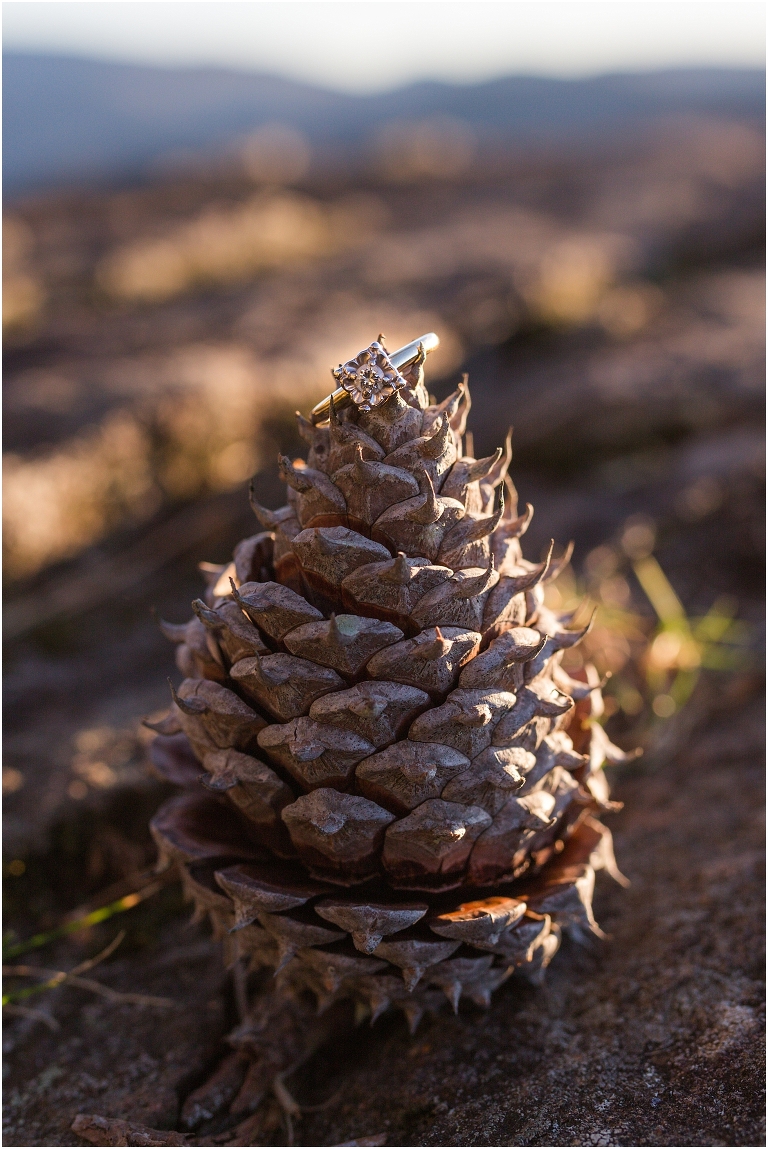Engagement ring on the Blue Ridge Parkway in Virginia.