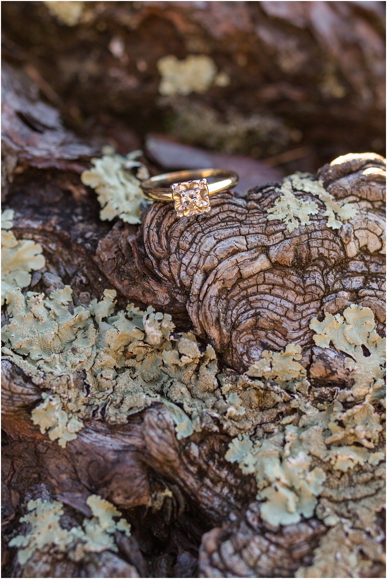 Engagement ring on the Blue Ridge Parkway in Virginia.