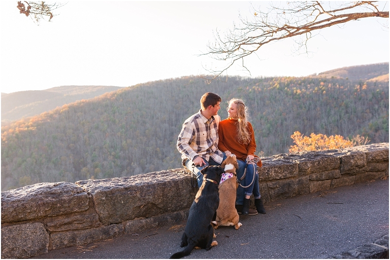 Blue Ridge engagement session with fall foliage and blue skies. They included their dogs too!