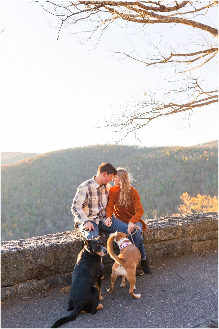 Blue Ridge engagement session with fall foliage and blue skies. They included their dogs too!
