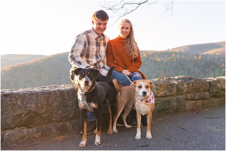 Blue Ridge engagement session with fall foliage and blue skies. They included their dogs too!