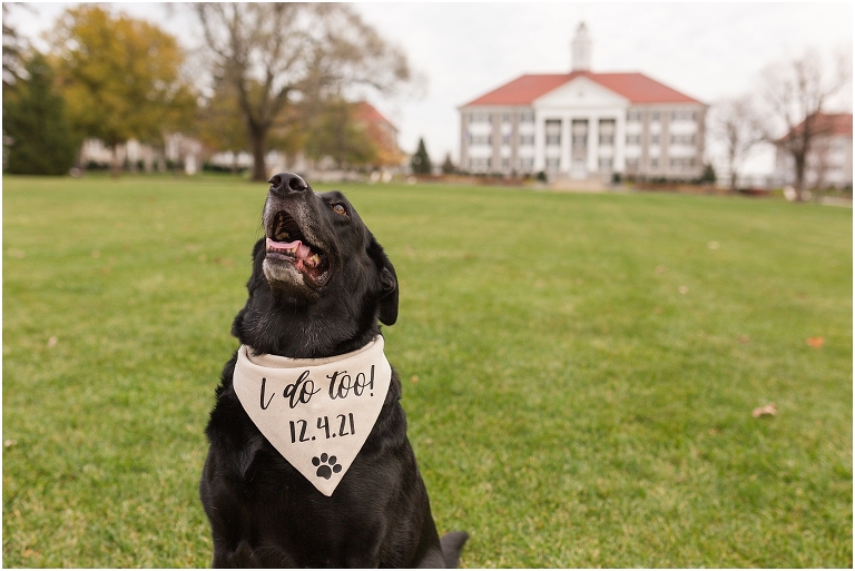 Engagement session on The Quad at JMU.