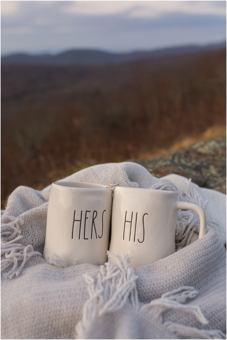 Skyline Drive Overlook engagement session with late fall colors, a beautiful view, and love.