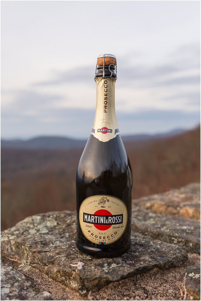 Skyline Drive Overlook engagement session with late fall colors, a beautiful view, and some champagne.