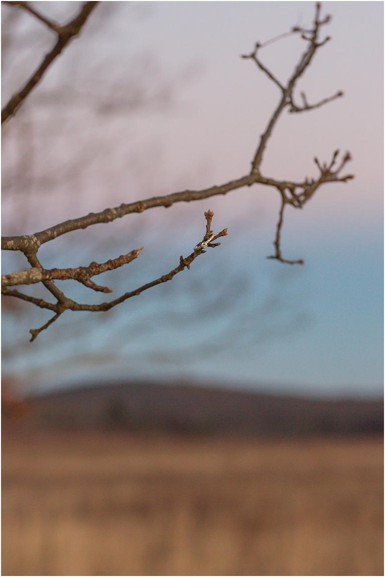 Engagement session at Big Meadows in Virginia. Beautiful colors and views surrounded us for this special occasion.