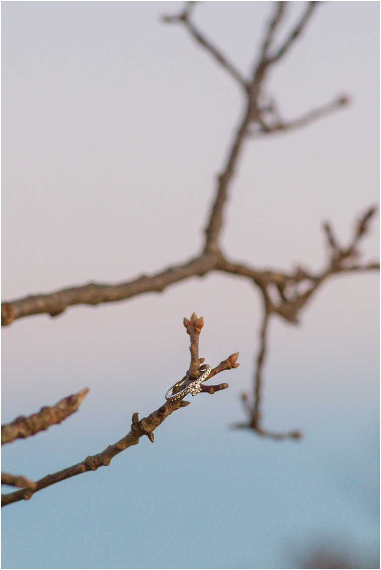 Engagement session at Big Meadows in Virginia. Beautiful colors and views surrounded us for this special occasion.