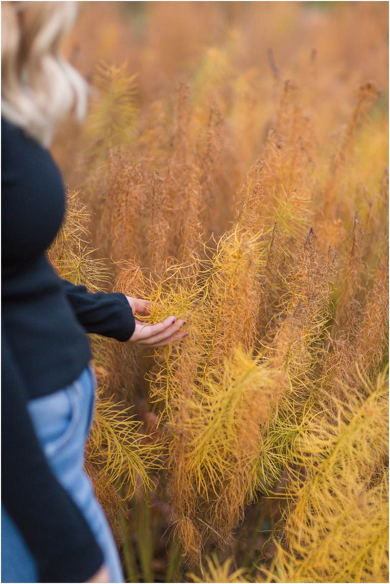 James Madison University (JMU) graduation portraits.