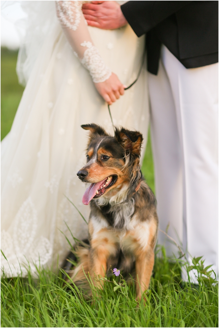 Shenandoah National Park bridal portraits up in Big Meadows on Skyline Drive
