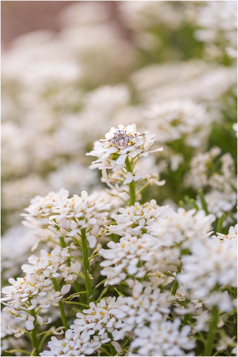 Big Spring Farm summer engagement session