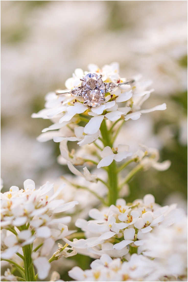 Big Spring Farm summer engagement session