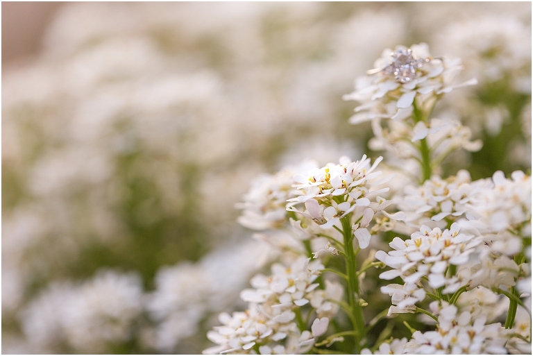 Big Spring Farm summer engagement session