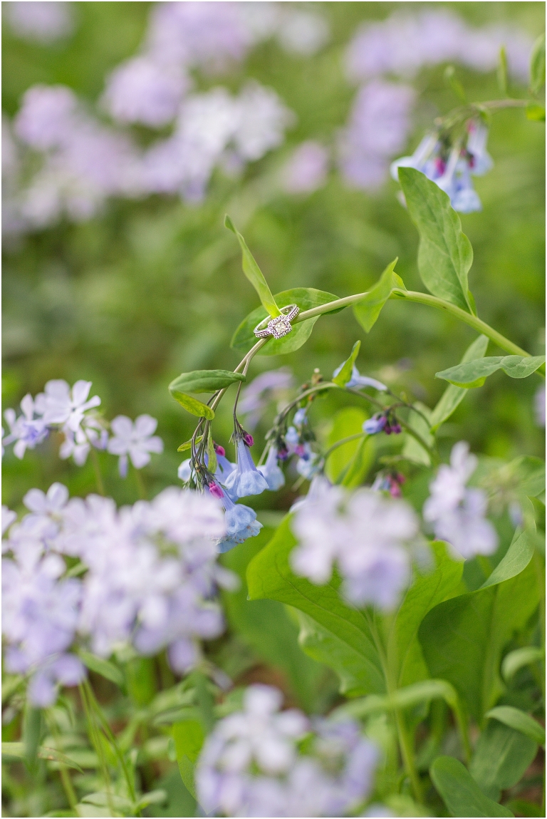 Spring Edith J. Carrier Arboretum engagement session in Harrisonburg Virginia with colorful blooms flowers