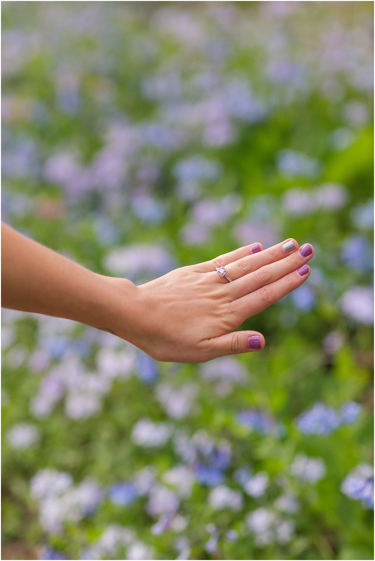 Spring Edith J. Carrier Arboretum engagement session in Harrisonburg Virginia with colorful blooms flowers