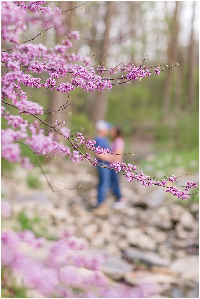 Spring Edith J. Carrier Arboretum engagement session in Harrisonburg Virginia with colorful blooms flowers