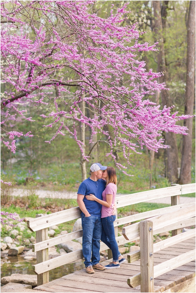 Spring Edith J. Carrier Arboretum engagement session in Harrisonburg Virginia with colorful blooms flowers