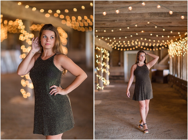 Punc Glitter Short Dress - S Sydney Kane Photography Client Closet