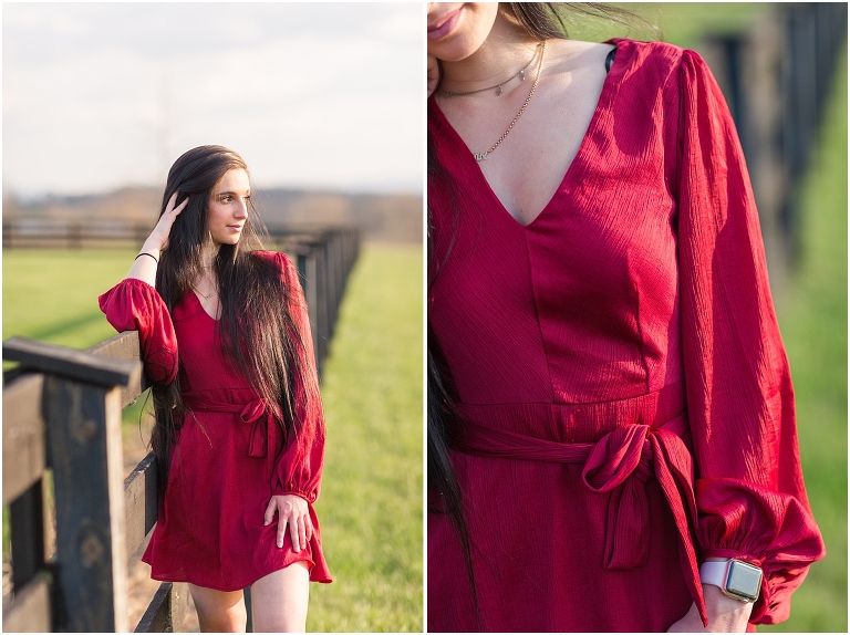 Lulus Red Short Dress - S Sydney Kane Photography Client Closet