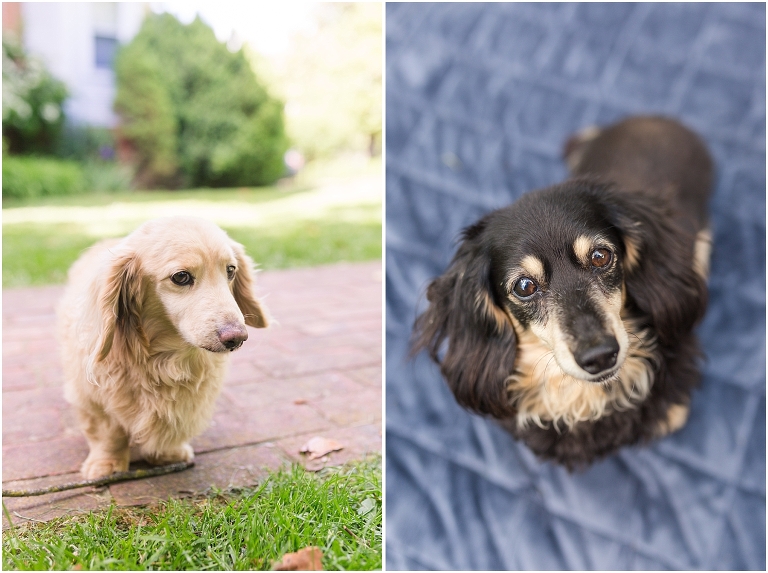 Downtown Lexington elopement portraits