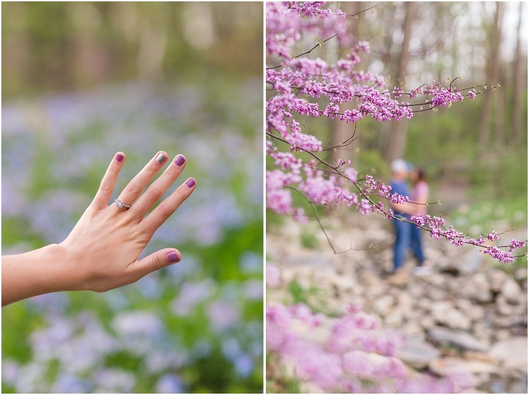 Edith J Carrier Arboretum spring flower engagement session with cherry blossoms near the pond