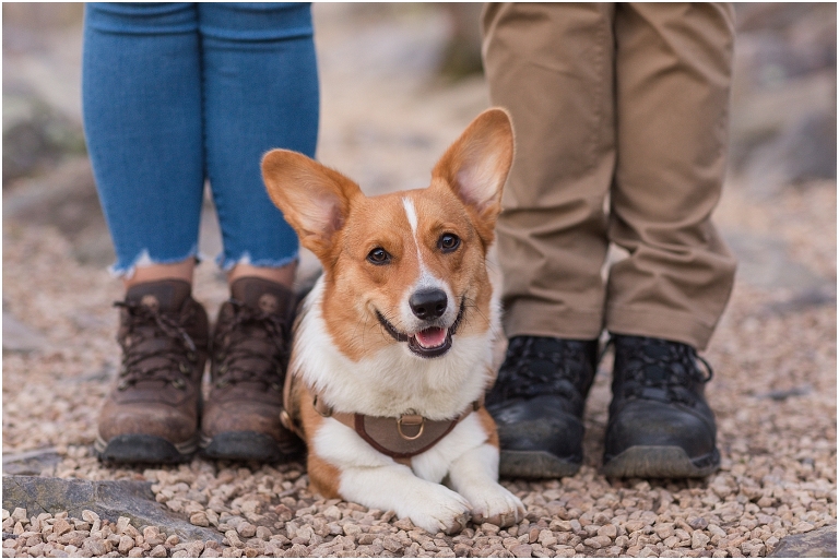 Blackrock Summit hike on Skyline Drive in Shenandoah National Park engagement session with the Corgi dog. Sunset mountain couples portrait session with polaroid camera