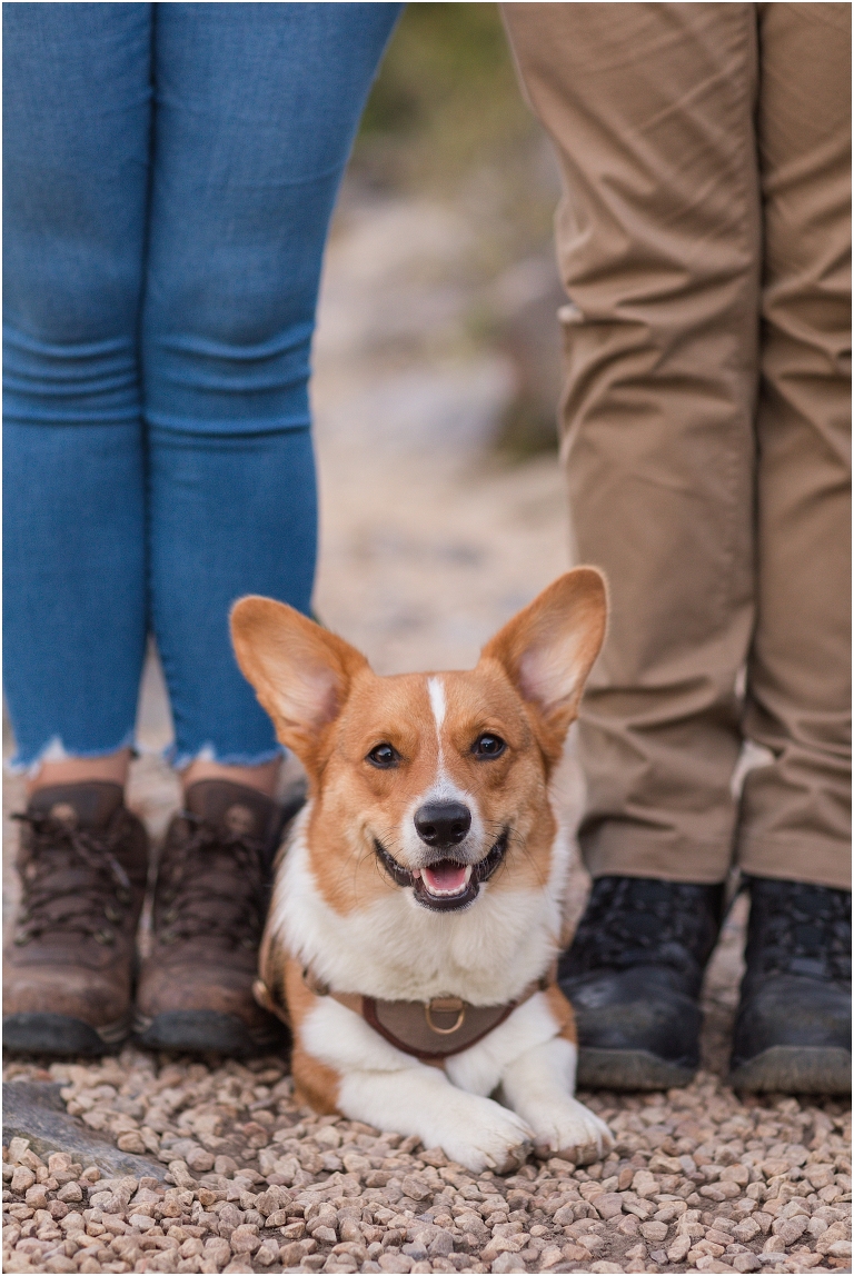 Blackrock Summit hike on Skyline Drive in Shenandoah National Park engagement session with the Corgi dog. Sunset mountain couples portrait session with polaroid camera