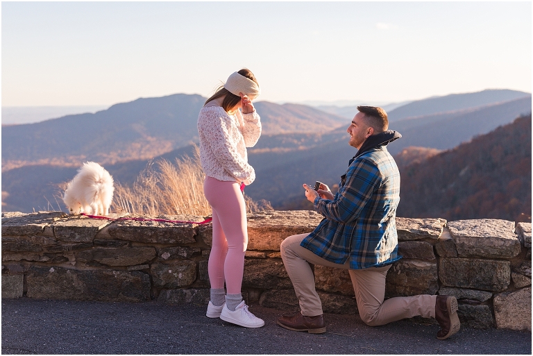 Winter proposal at Pinnacles Overlook on Skyline Drive in Shenandoah National Park at a mountain sunset view with their dog