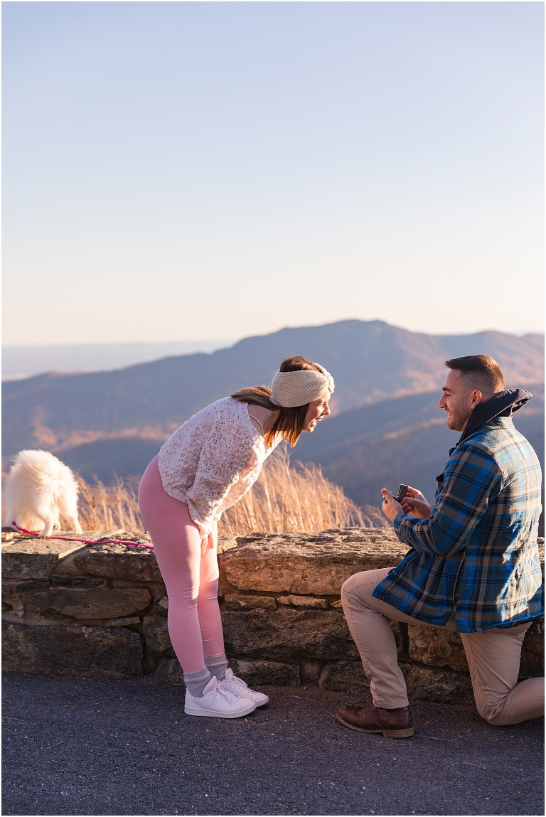 Winter proposal at Pinnacles Overlook on Skyline Drive in Shenandoah National Park at a mountain sunset view with their dog