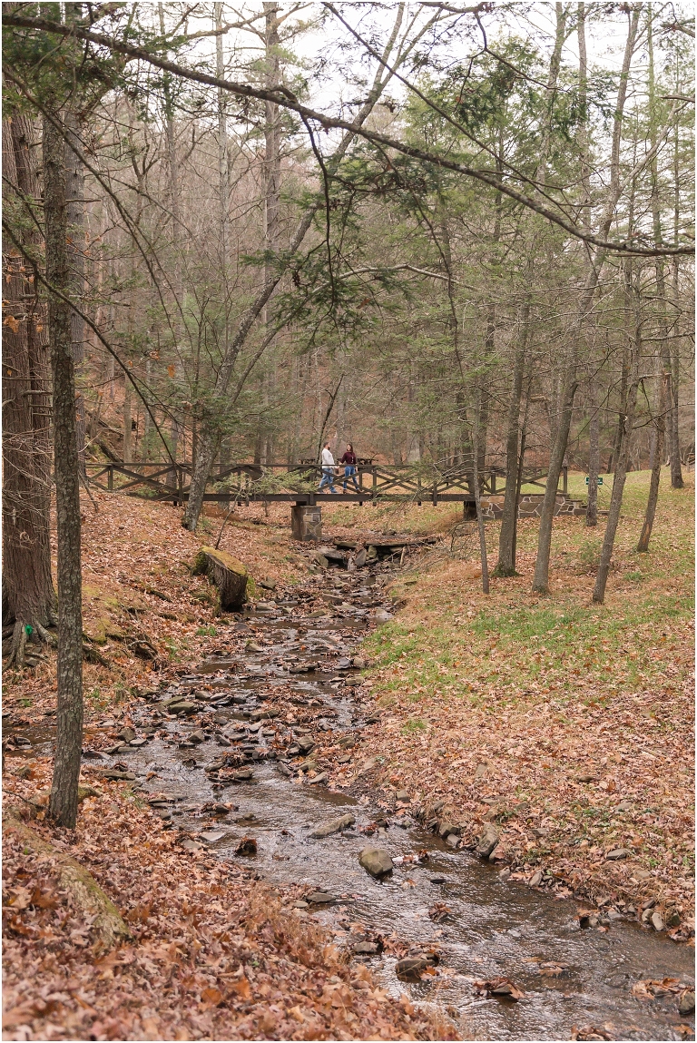 Winter evergreen by the river engagement session in Lost River State Park in West Virginia