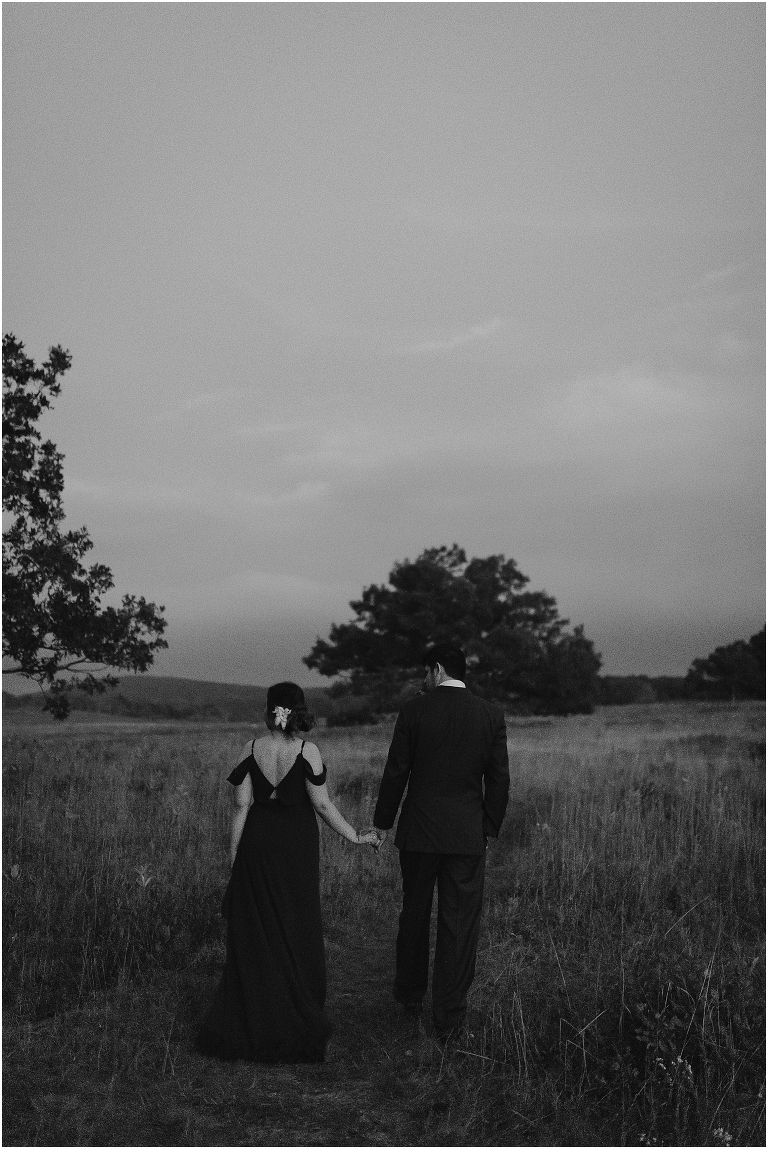 Sunset mountain view wildflower open field couples portraits in Big Meadows hike on Skyline Drive in Shenandoah National Park
