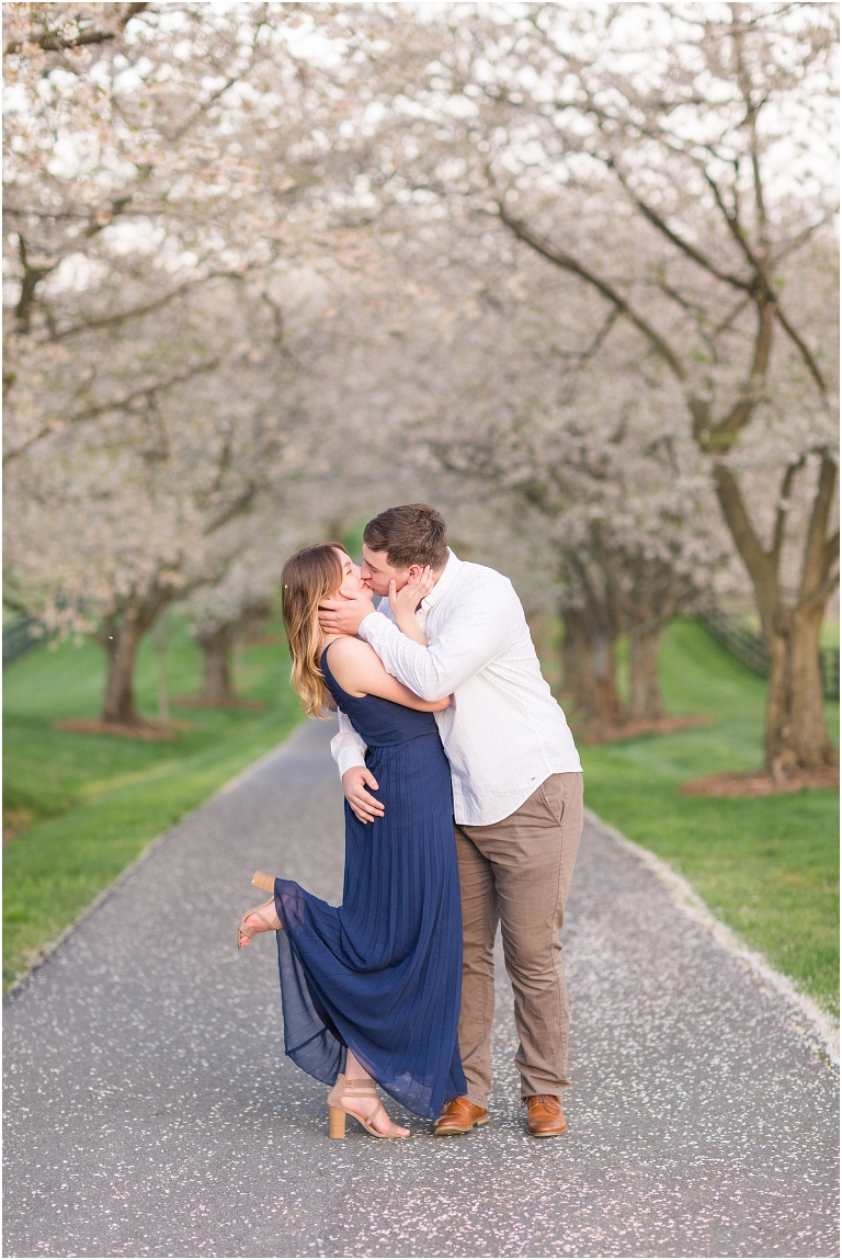 Spring couples portraits on a cherry blossom tree lined driveway