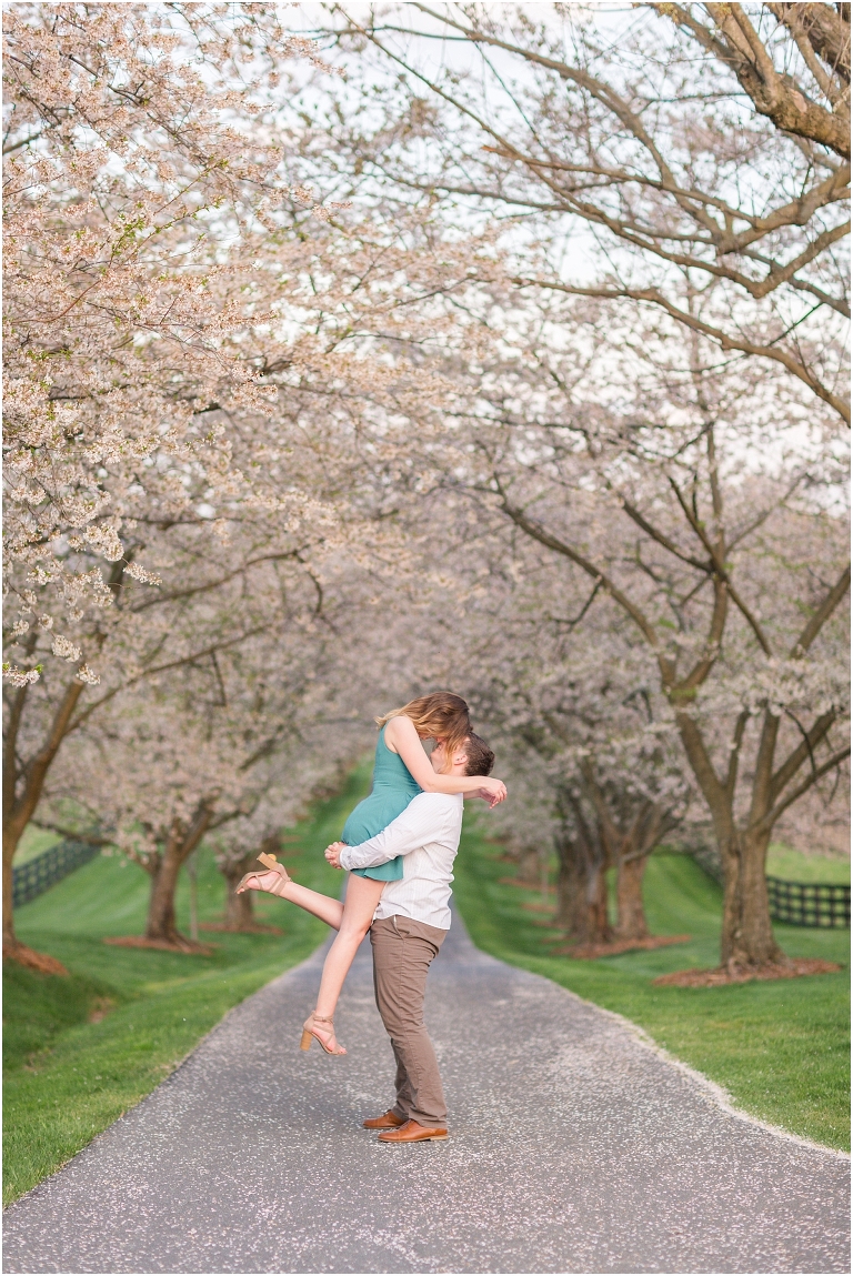 Spring couples portraits on a cherry blossom tree lined driveway