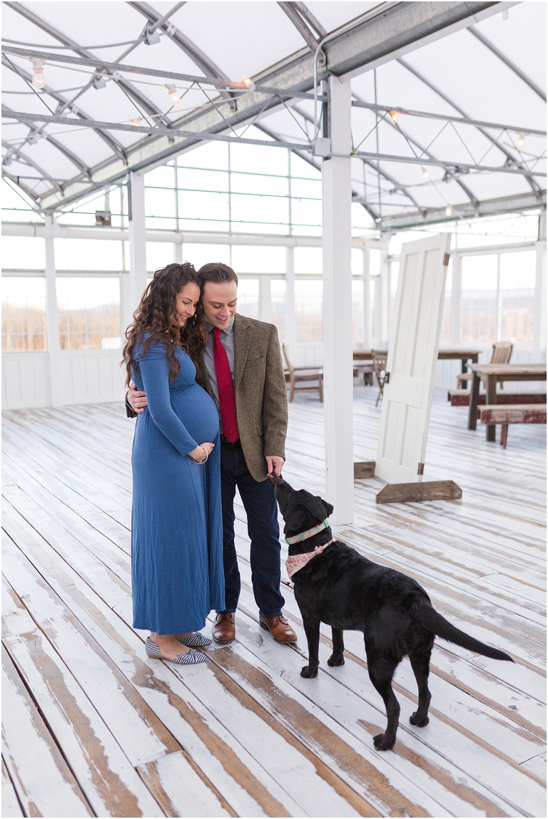 Maternity portraits at Showalter's Orchard in the Shenandoah Valley Virginia in a white greenhouse barn with their dog