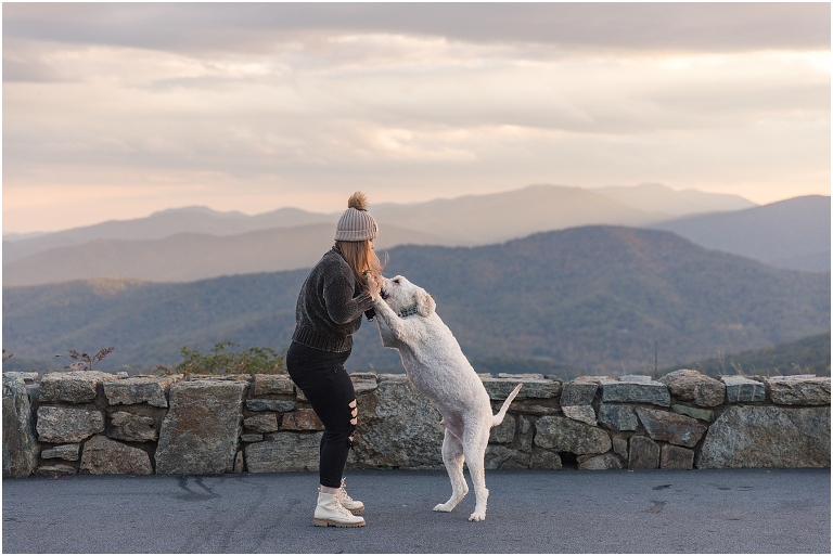 Skyline Drive Shenandoah National Park overlook autumn senior portraits on top of the mountain at sunset with Goldendoodle dog, Virginia senior graduation portrait photographer