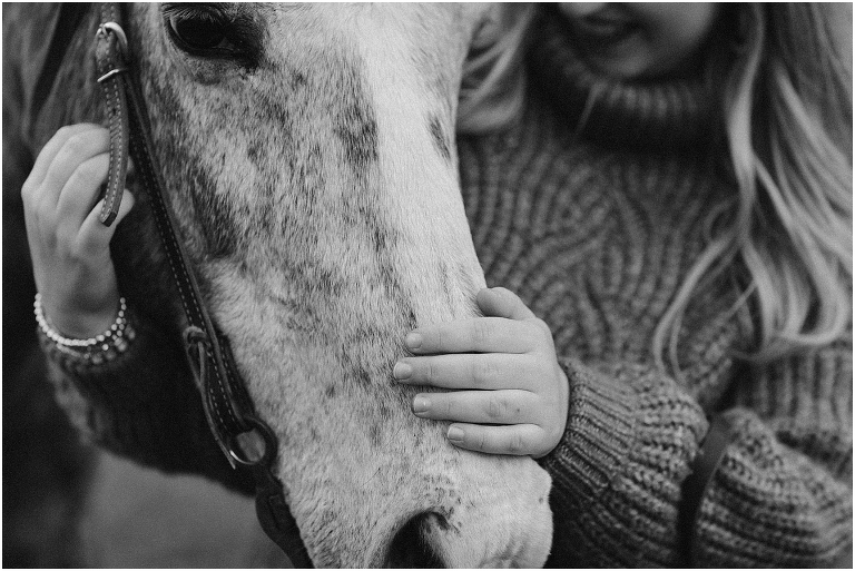 Black and white autumn fall foliage senior horse portraits with a rust and white horse in an open field with a sunset mountain backdrop, Virginia senior graduation portrait photographer