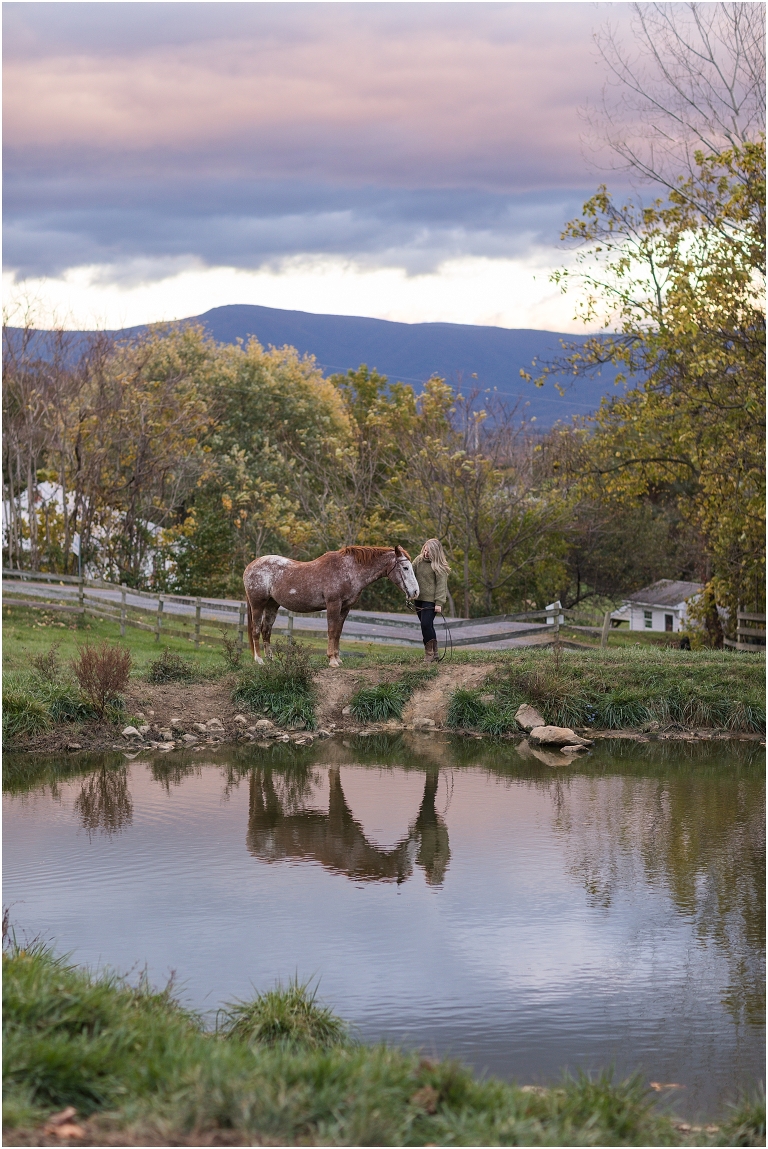 Autumn fall foliage senior horse portraits with a rust and white horse in an open field with a sunset mountain backdrop, Virginia senior graduation portrait photographer
