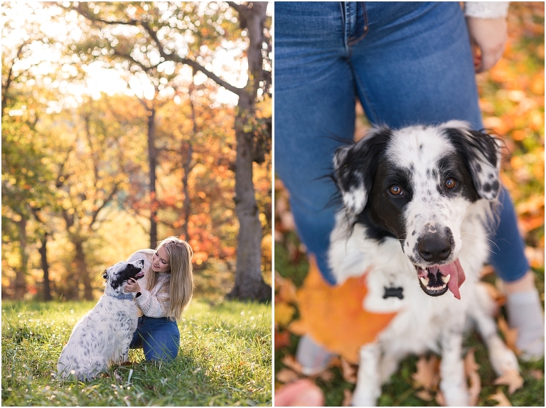 Autumn fall foliage senior with dog portraits in an open field with a sunset mountain backdrop, Virginia senior graduation portrait photographer